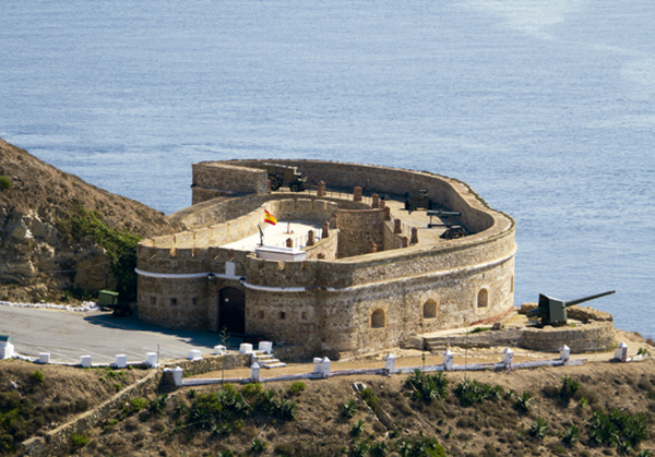 Museo del desnarigado