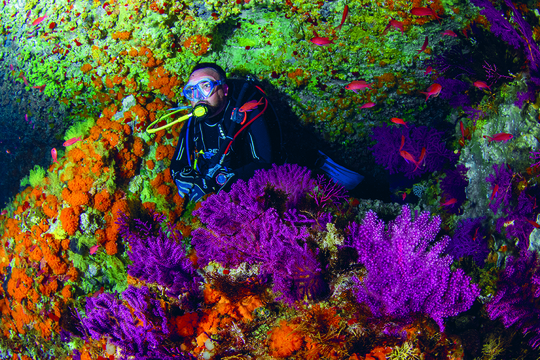 snorkel-turismo ceuta